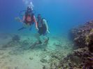 Hawaii Scuba divng 25