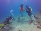 Hawaii Scuba divng 26