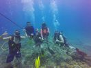 Hawaii Scuba divng 27