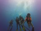 Hawaii Scuba divng 32