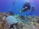 Hawaii Scuba divng 03