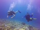 Hawaii Scuba divng 46