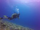 Hawaii Scuba divng 47