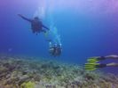 Hawaii Scuba divng 48