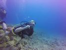 Hawaii Scuba divng 04