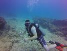 Hawaii Scuba divng 56