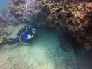 Hawaii Scuba divng 56