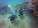 Hawaii Scuba divng 57