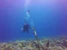 Hawaii Scuba divng 05