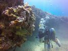 Hawaii Scuba divng 60