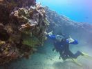 Hawaii Scuba divng 61