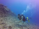 Hawaii Scuba divng 72