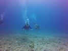 Hawaii Scuba divng 73