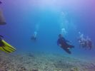 Hawaii Scuba divng 74