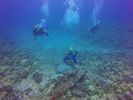 Hawaii Scuba divng 78