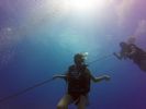 Hawaii Scuba divng 10