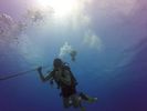 Hawaii Scuba divng 11