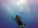 Hawaii Scuba divng 12