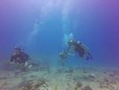 Hawaii Scuba divng 13