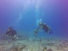 Hawaii Scuba divng 13