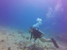 Hawaii Scuba divng 14