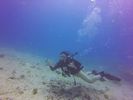 Hawaii Scuba divng 15