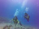 Hawaii Scuba divng 16