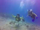 Hawaii Scuba divng 17