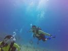 Hawaii Scuba divng 18