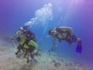 Hawaii Scuba divng 19