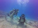 Hawaii Scuba divng 20