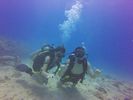 Hawaii Scuba divng 21