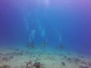 Hawaii Scuba divng 23