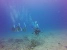 Hawaii Scuba divng 24