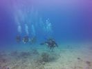 Hawaii Scuba divng 25