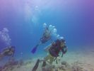 Hawaii Scuba divng 27