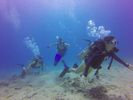 Hawaii Scuba divng 29