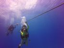 Hawaii Scuba divng 02