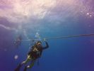 Hawaii Scuba divng 03