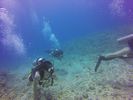 Hawaii Scuba divng 41