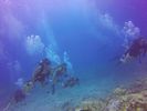 Hawaii Scuba divng 42