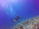 Hawaii Scuba divng 43