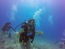 Hawaii Scuba divng 45