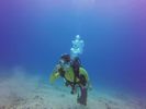 Hawaii Scuba divng 47