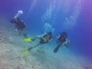 Hawaii Scuba divng 48