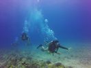 Hawaii Scuba divng 49