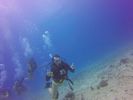 Hawaii Scuba divng 51