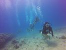 Hawaii Scuba divng 51