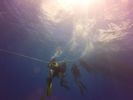 Hawaii Scuba divng 54