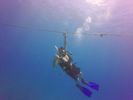 Hawaii Scuba divng 56